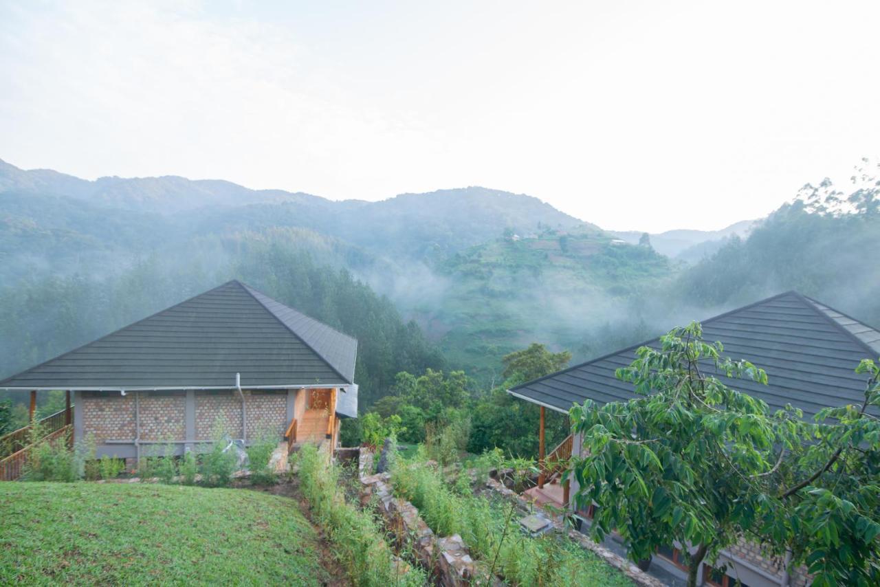 Gorilla Leisure Lodge Kisoro Eksteriør billede